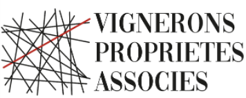 カーズ・ブランケ